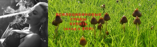 COCAINE Богородицк