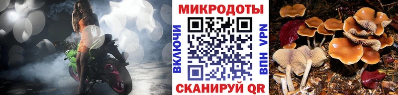 ОМГ ОМГ tor Киржач Псилоцибиновые грибы Cubensis
